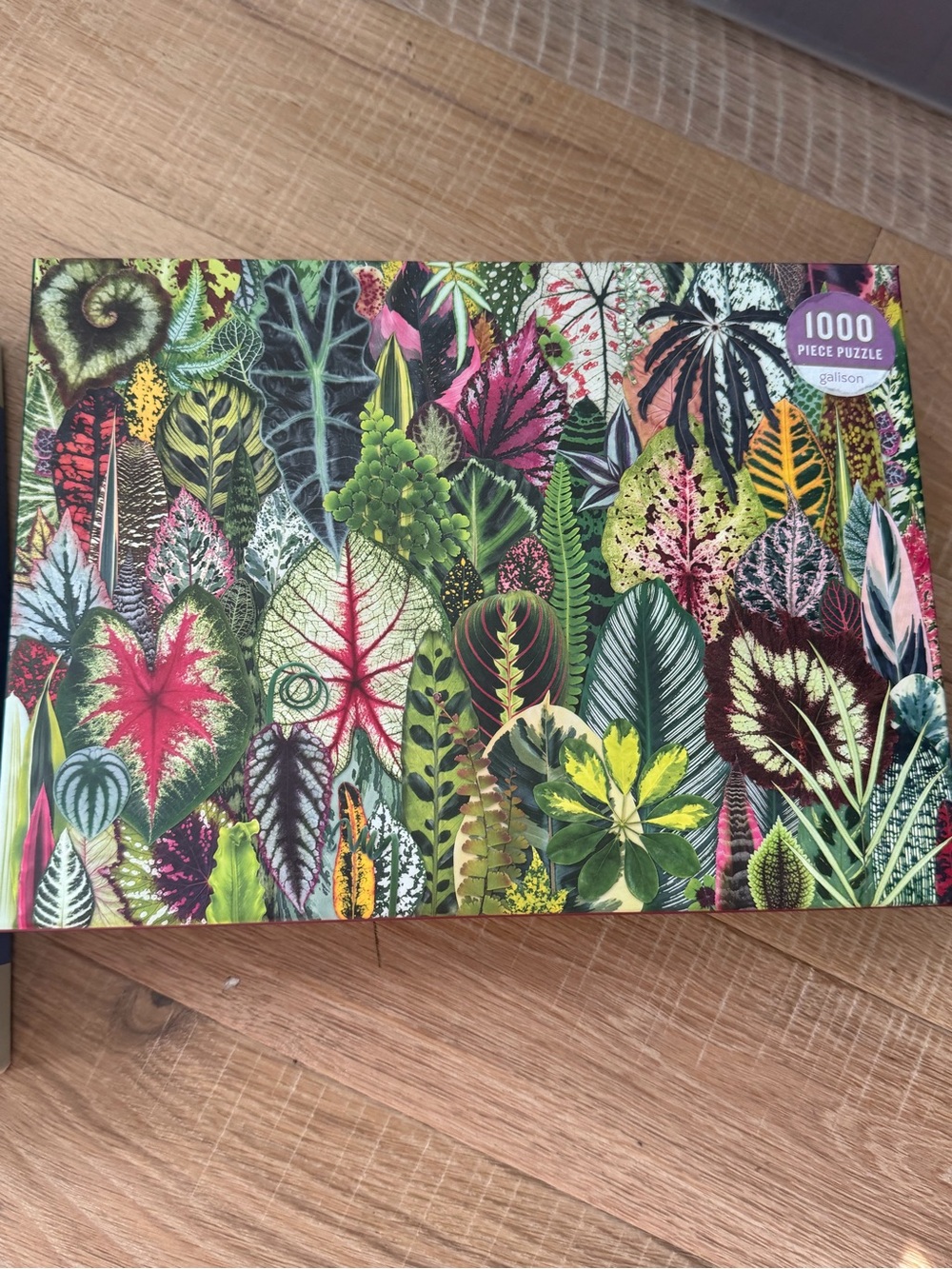 Galison 1000-Piece Botanical Leaves Jigsaw Puzzle - Multicolor